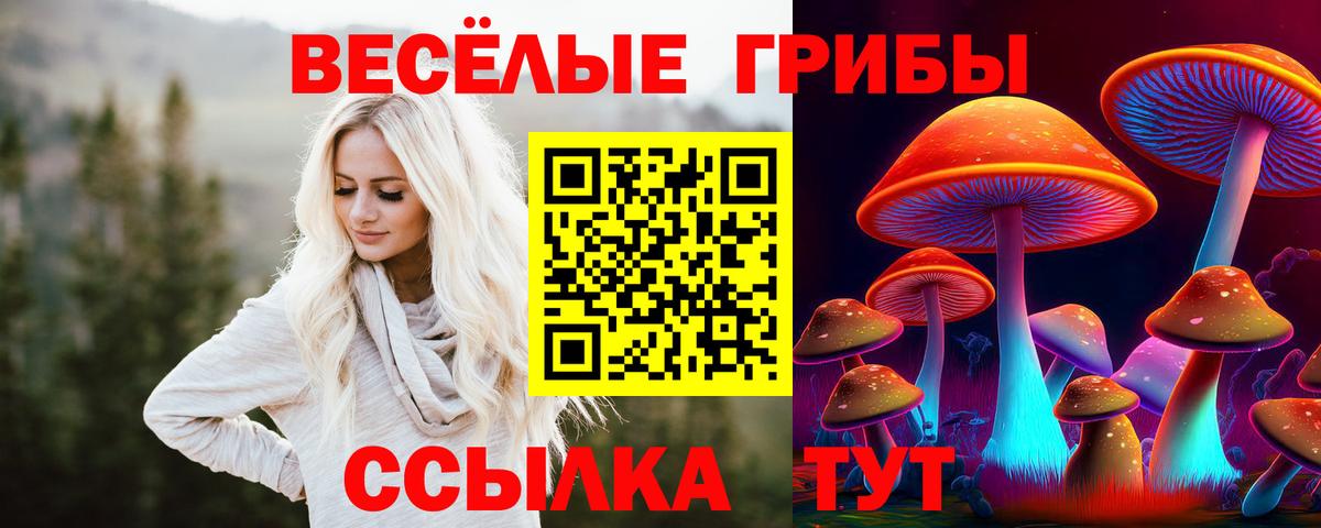 Зерноград  Галлюциногенные грибы Cubensis  Вход с VPN 